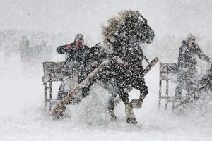 A participant of a horse-drawn sleigh race drives his sleigh through the snow in Rinchnach, southern Germany, on January 15, 2017. / AFP PHOTO / dpa / Armin Weigel / Germany OUT