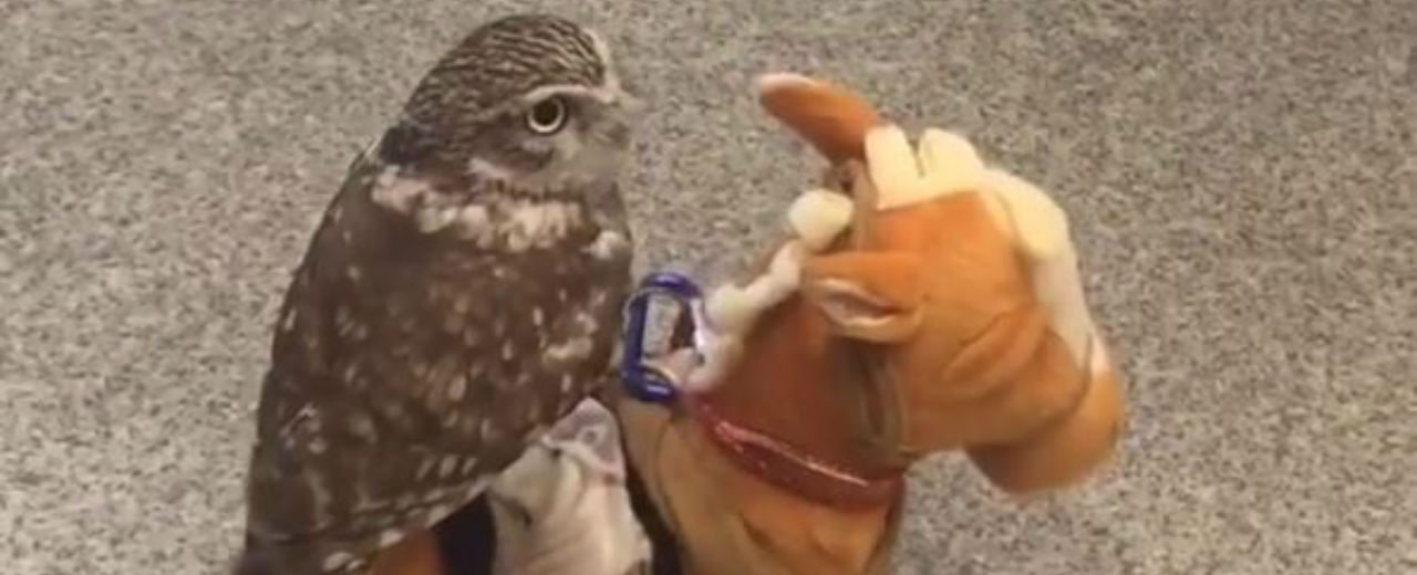 Erika Kinako / Instagram