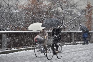 People cycle in snowfall in Tokyo on November 24, 2016. Tokyo woke up on November 24 to its first November snowfall in more than half a century, leaving commuters to grapple with train disruptions and slick streets. / AFP PHOTO / Kazuhiro NOGI
