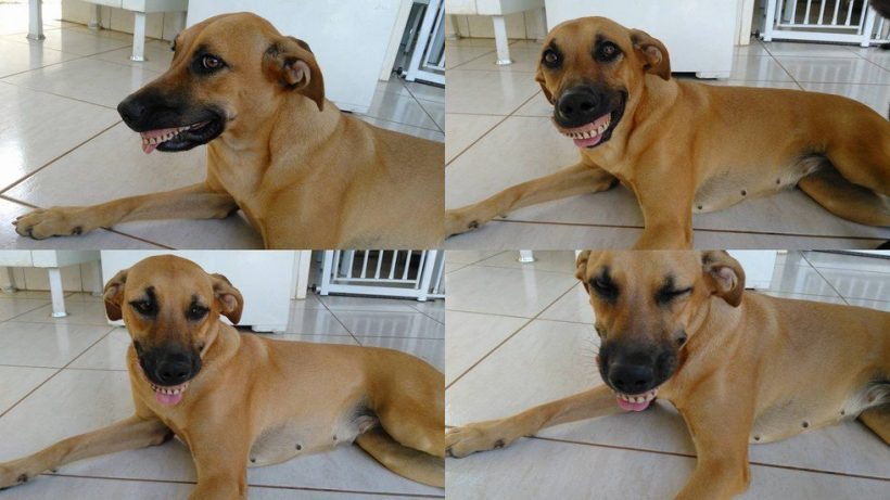 (Fotó: Lucas Alves Magalhães)