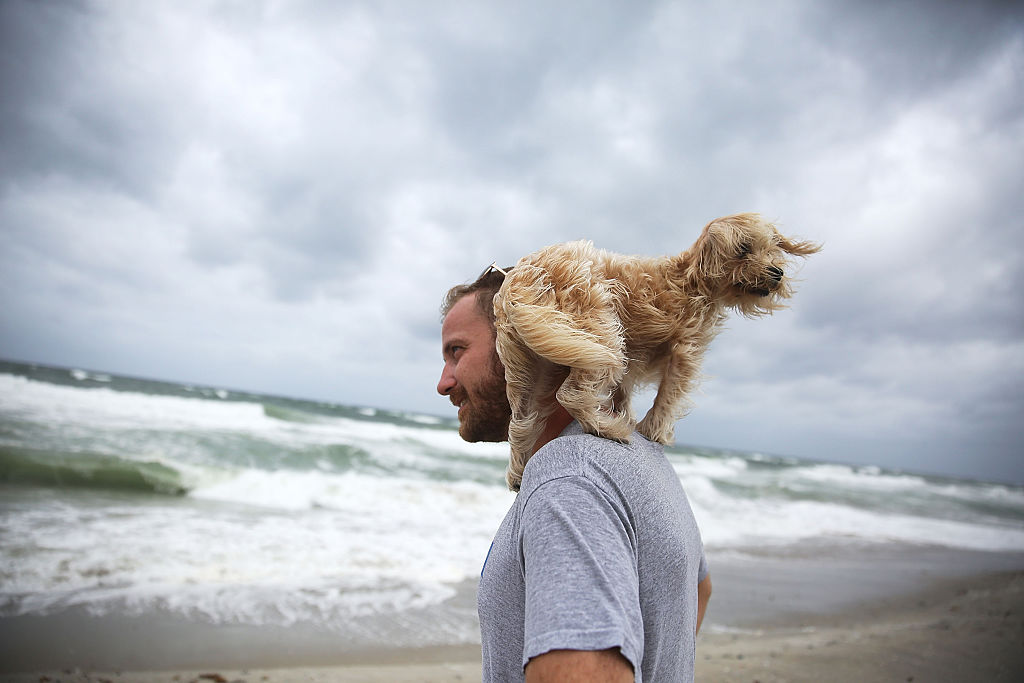 PALM BEACH, FL - OCTOBER 06: Ted Houston and his dog Kermit visit the beach as Hurricane Matthew approaches the area on October 6, 2016 in Palm Beach, United States. The hurricane is expected to make landfall sometime this evening or early in the morning as a category 4 storm. (Photo by Joe Raedle/Getty Images)