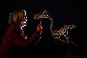 BILLINGSHURST, ENGLAND - NOVEMBER 17: A woman poses with the Summers Place Dodo as it is displayed ahead of it's auction, during a press preview on November 17, 2016 in Billingshurst, England. The skeleton dates from around the 16th century and will be the first to be sold since 1914. With an estimated selling price of around £500,000, the skeleton will be part of the upcoming "Evolution" auction. (Photo by Leon Neal/Getty Images)