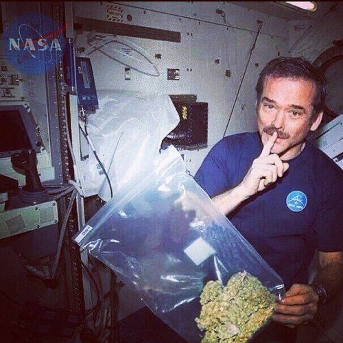 nasa-will-pay-you-18000-usd-to-stay-in-bed-and-smoke-weed-for-70-straight-day