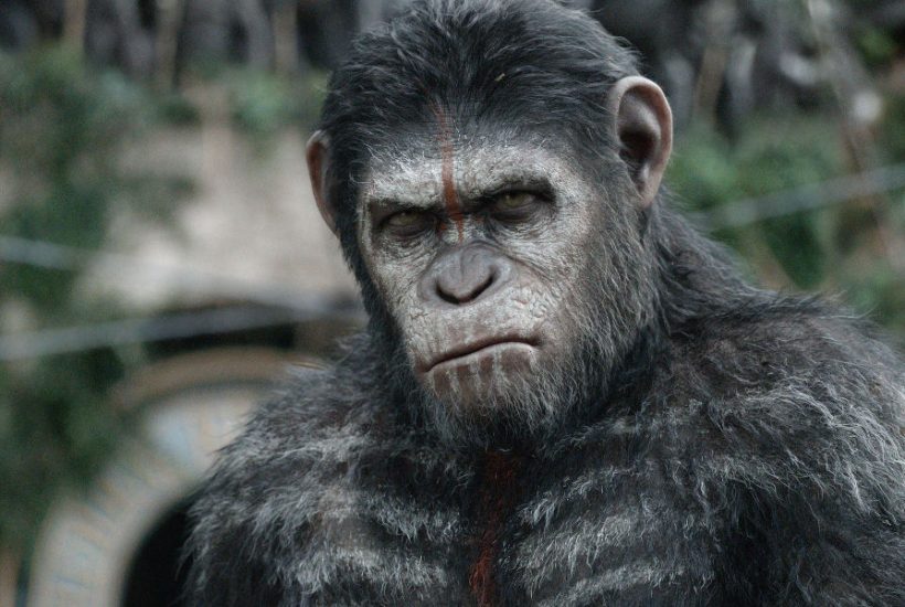 planet-of-the-apes-caesar2