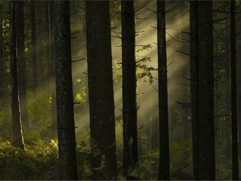 globálus felmelegedés ellen