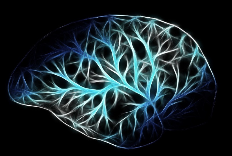 Agy megőrzése és örök élet