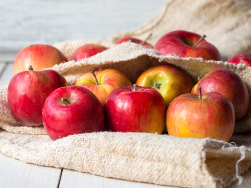 Alma frissen tartása hűtő nélül