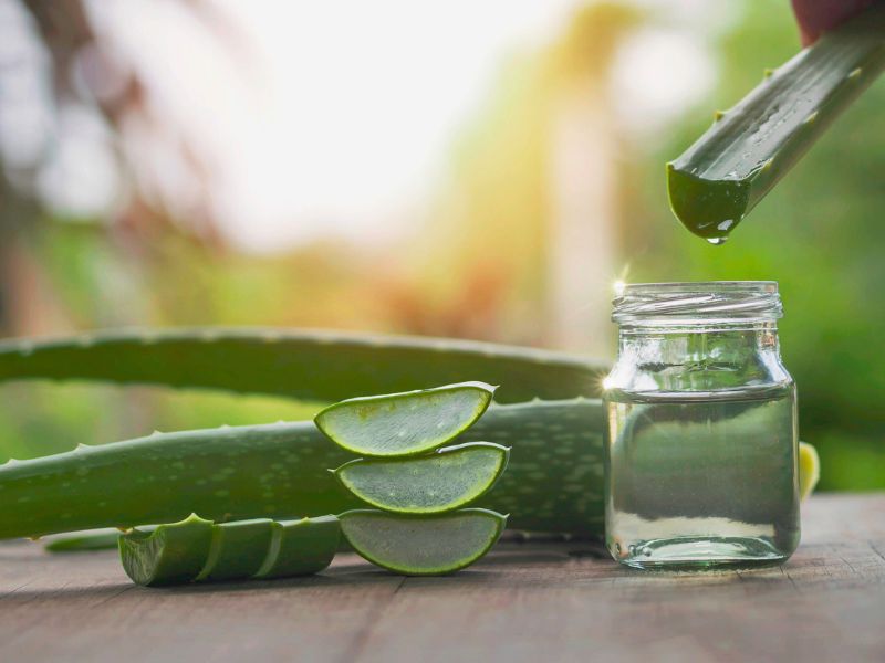 Aloe vera előnyei: A természetes csodaszer, amit eddig alábecsültél