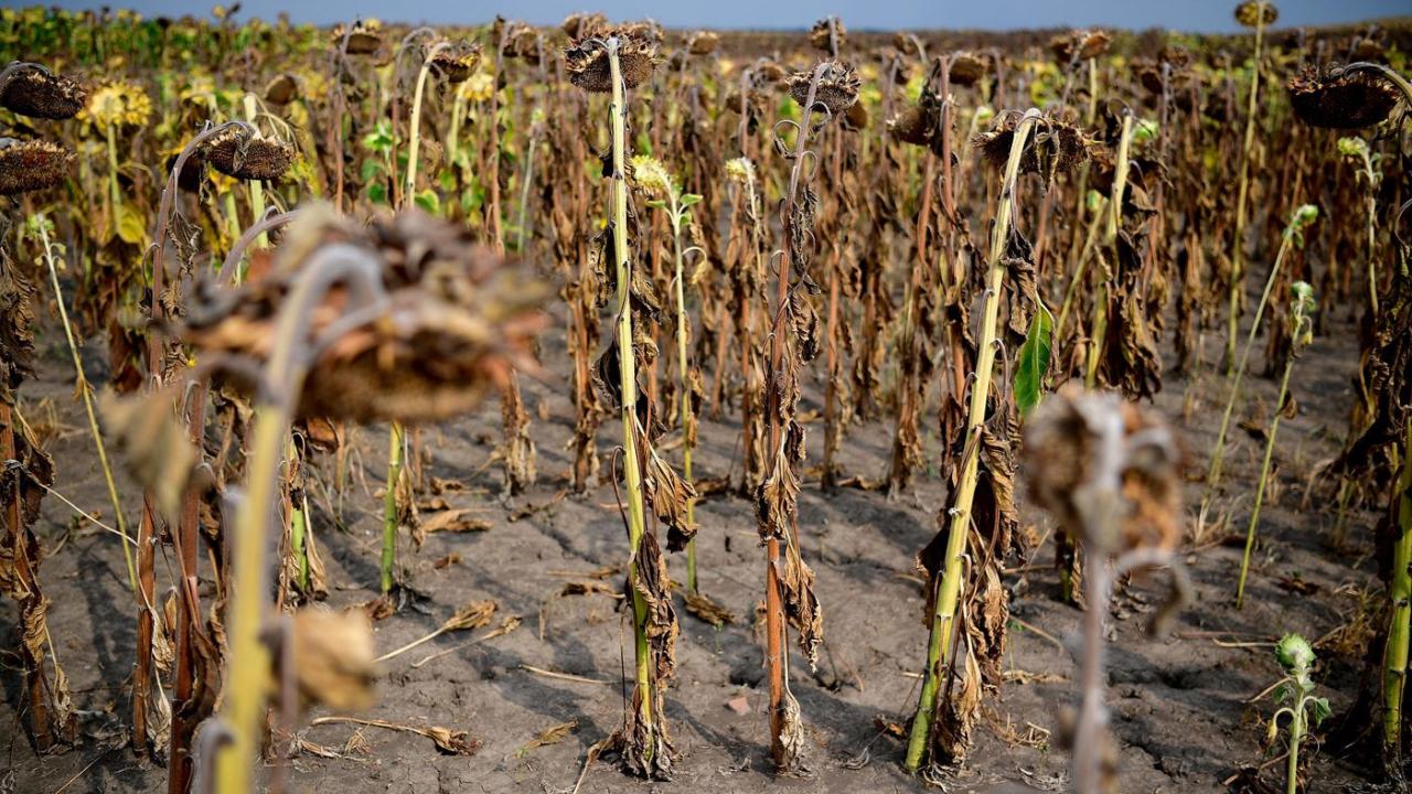 Aszály Magyarországon