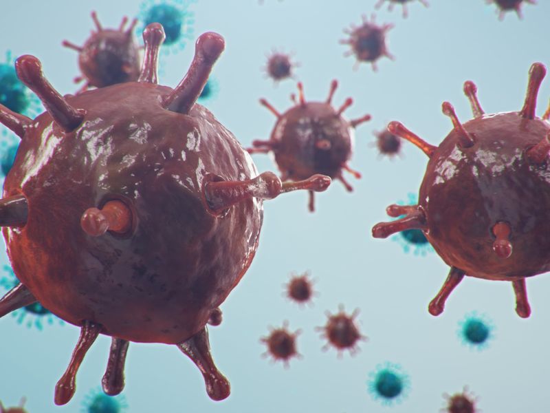 covid legújabb variánsa