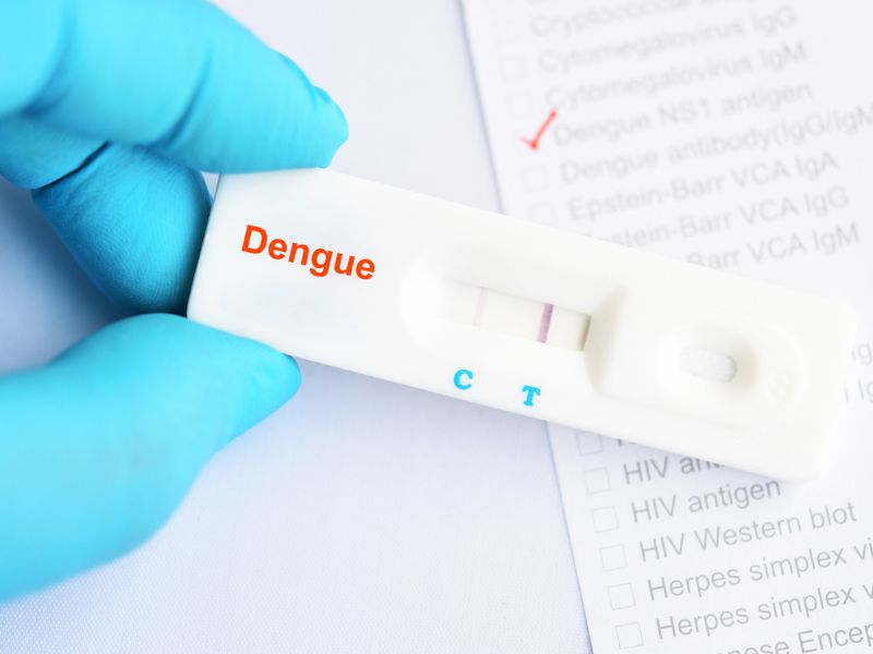 A csonttörő vírus újra megjelent hazánkban – szúnyogcsípéssel terjed, és akár halálos is lehet