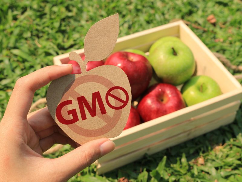 A GMO-mentes élelmiszerek választása egy tudatos döntés