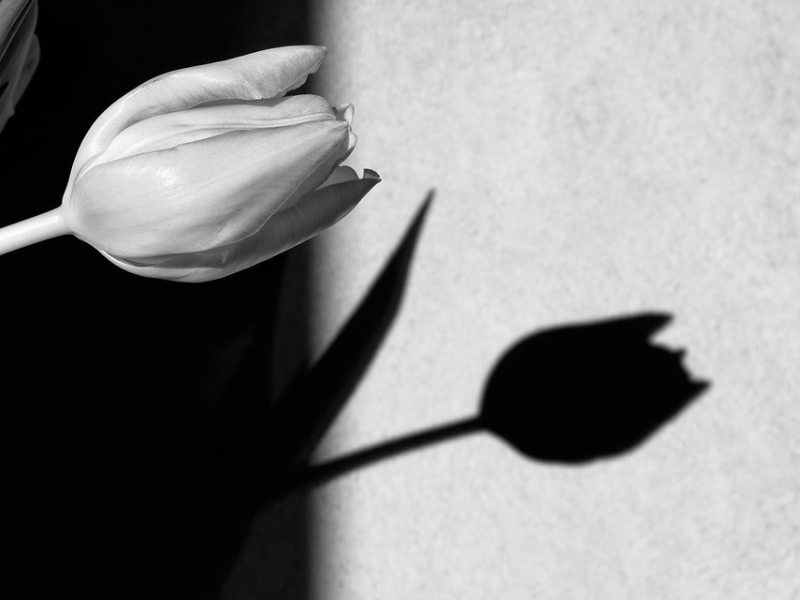 tanács a gyászolónak