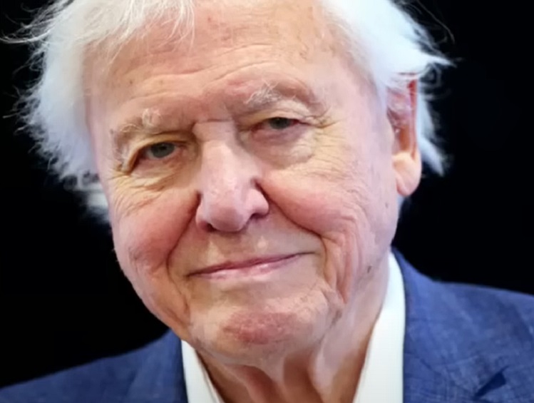 Hangklónozás mesterséges intelligencia David Attenborough