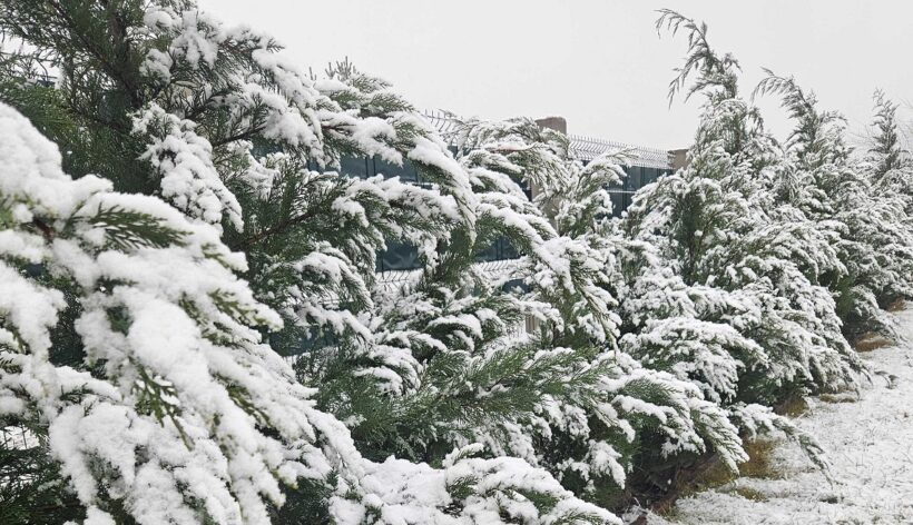 Havazás Magyarországon