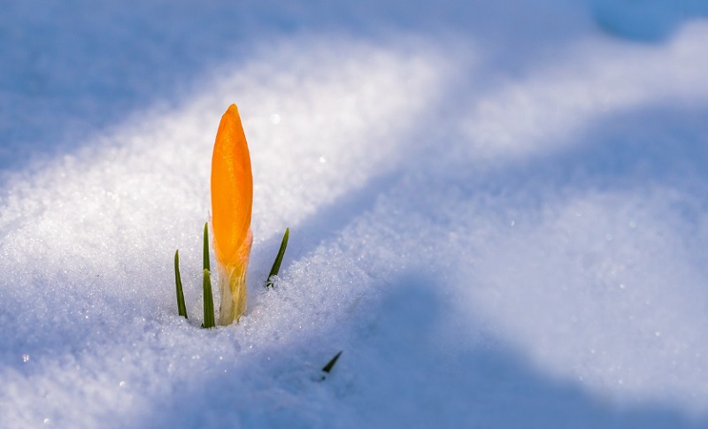 Hidegebb tavasz lesz