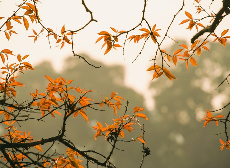 Napsütéses, de hűvös marad az idő