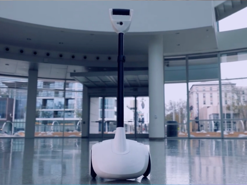 intelligens sétapálca