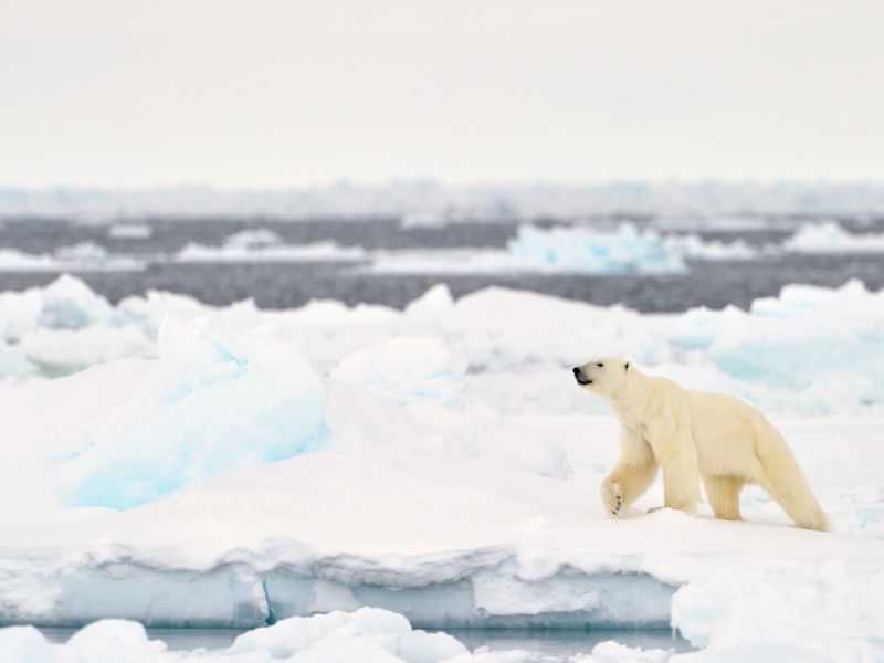 jeges-tenger eltűnése