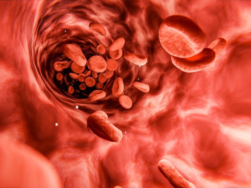 koleszterincsökkentők