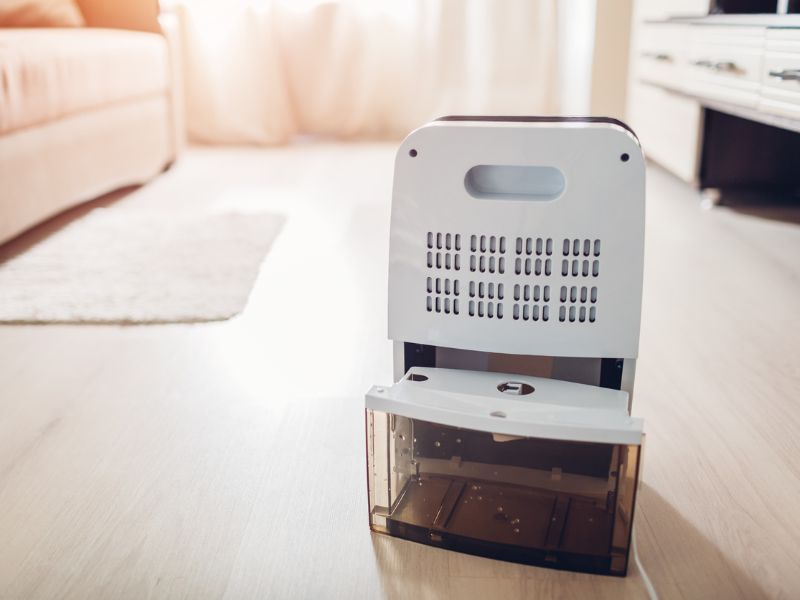 Ezek a legjobb páramentesítők 2024-ben