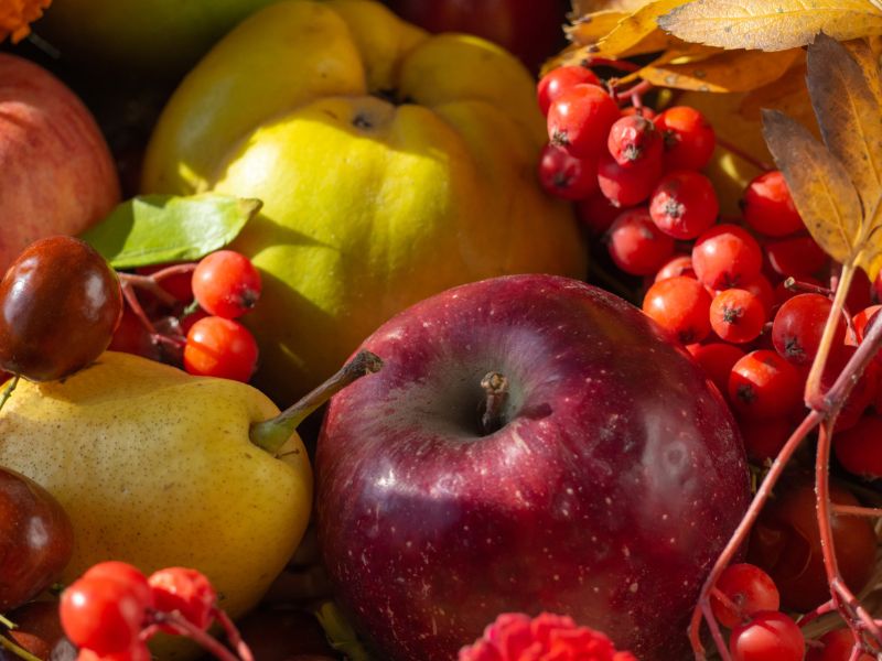 Magyar superfoodok őszre – friss hazai zöldségek és gyümölcsök