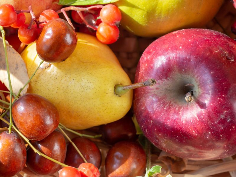 Őszi magyar superfoodok – egészséges, hazai szuperételek