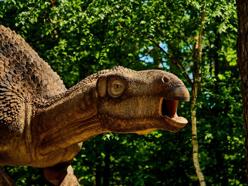 Számos kérdésre választ ad a megkövesedett dinoszaurusz ürülék.