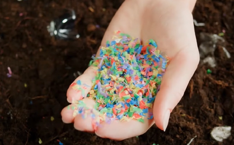 Mikroműanyagok a testben