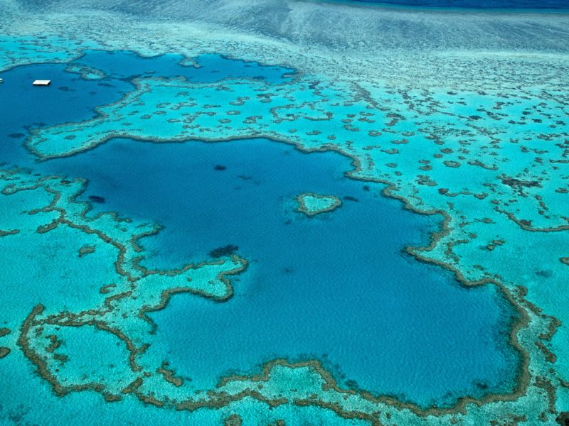 Igazi természeti kincs a Nagy-korallzátony
