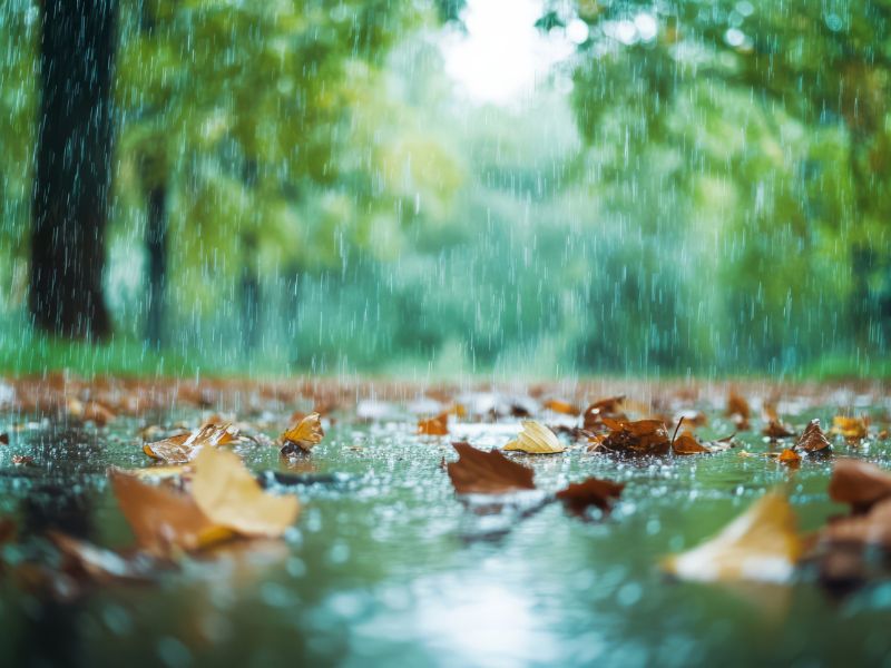 Sötétedő ég és erősödő szél jelzi a közelgő hidegfrontot