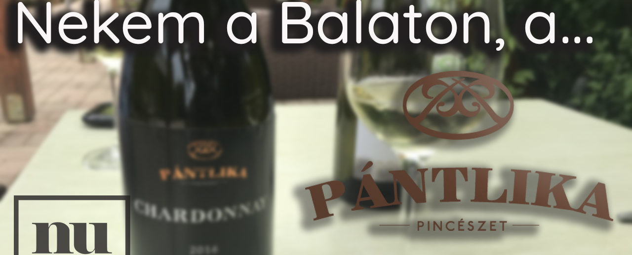 Pántlika Pincészet