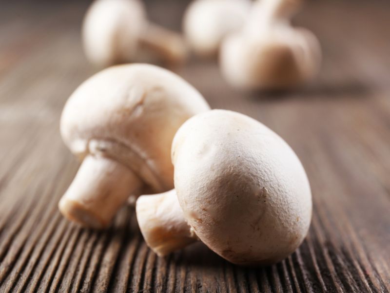 A fehér csiperkegomba segíthet a prosztatarák lassításában