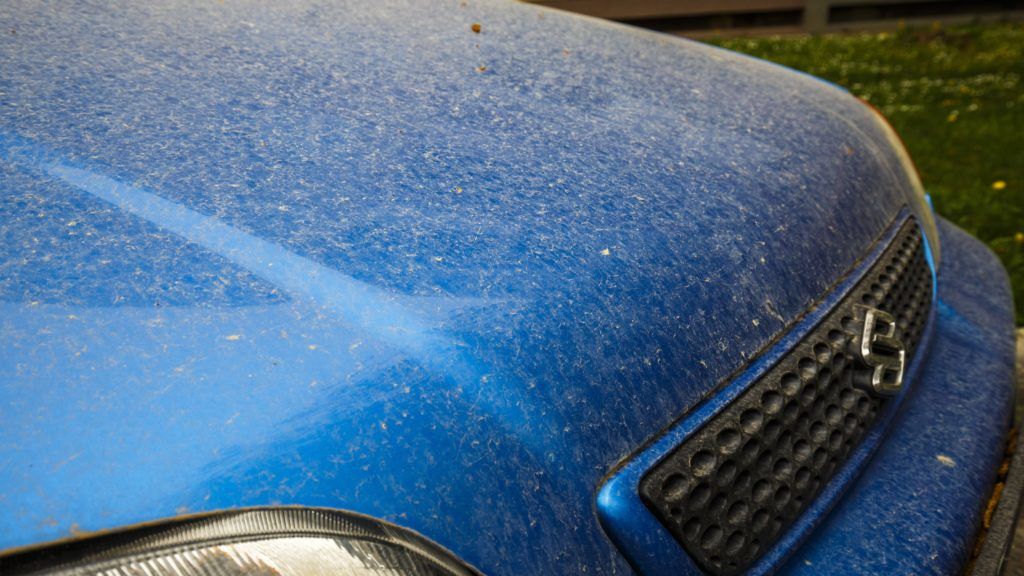 Saras eső kialakulása és veszélyei