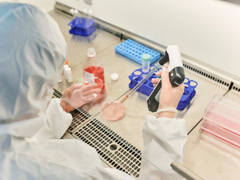 1. Afrikai sertéspestis Magyarországon: újabb vaddisznó fertőzött