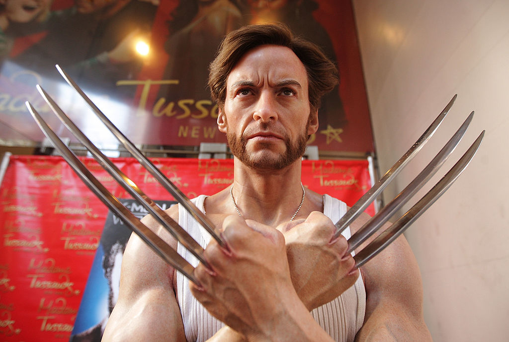 Wolverine szobor a New York-i Madam Tussauds-ban. Kép: Stephen Lovekin/Getty